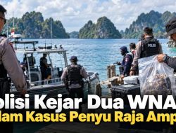 Polisi Kejar Dua WNA dalam Kasus Penyu Raja Ampat