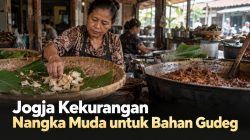 Jogja Kekurangan Nangka Muda untuk Bahan Gudeg