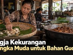 Jogja Kekurangan Nangka Muda untuk Bahan Gudeg
